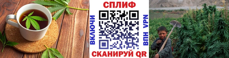 что такое наркотик  Алексеевка  Cannafood марихуана 