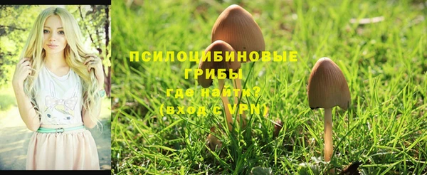 Альфа ПВП Абдулино