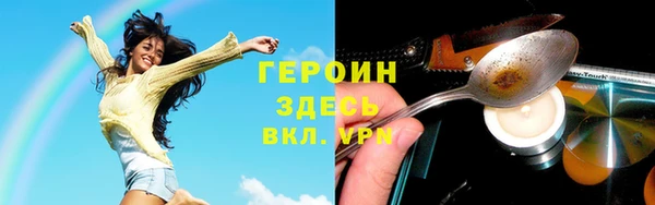 гашик Алексин