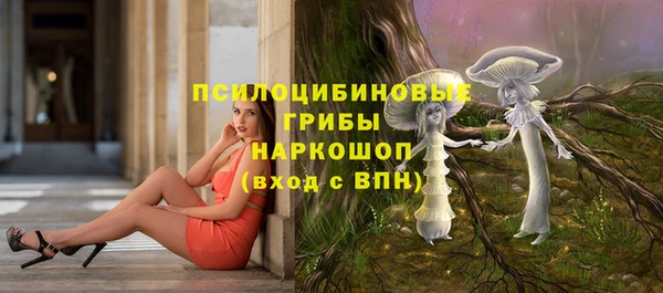 Альфа ПВП Абдулино