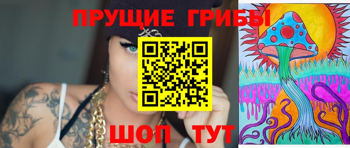 Псилоцибиновые грибы Psilocybe Алексеевка