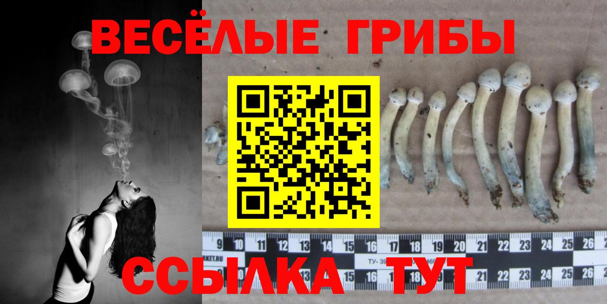 Псилоцибиновые грибы GOLDEN TEACHER  Галлюциногенные грибы GOLDEN TEACHER  продажа наркотиков  Вход с VPN  Алексеевка 
